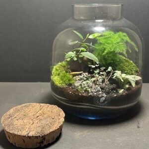 Mini-jardin T-737 prix 75 € (Vendu)