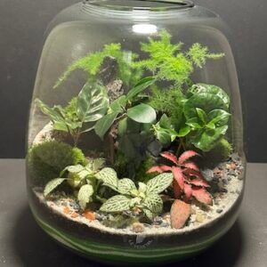 Mini-jardin T-738 prix 90 € (Vendu)