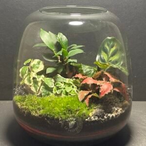 Mini-jardin T-739 prix 60 € (Vendu)