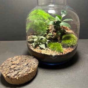 Mini-jardin T-741 prix 75 € (Vendu)