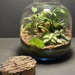 Mini-jardin T-742 prix 70 € (Vendu)