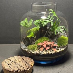 Mini-jardin T-743 prix 70 € (Vendu)