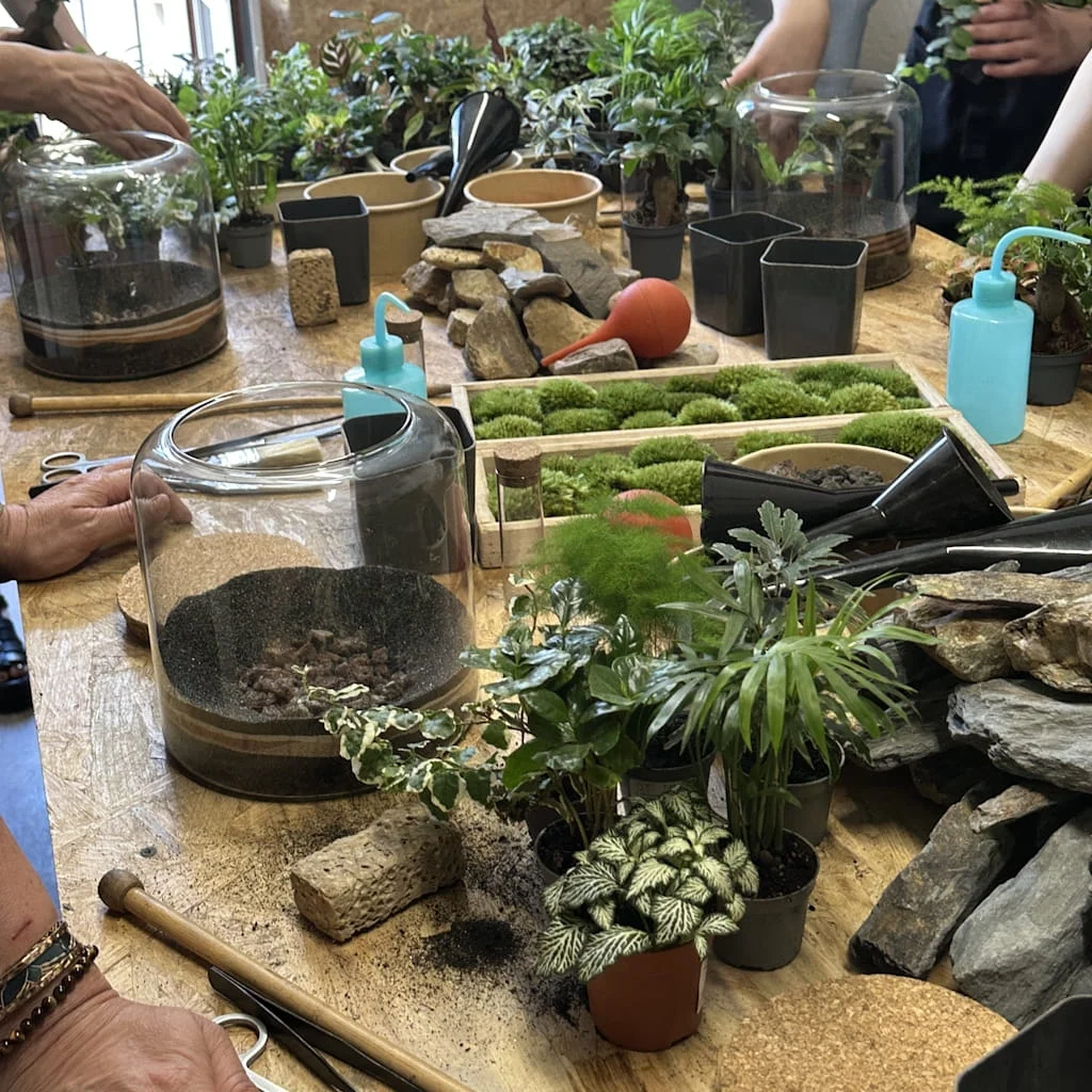 Atelier Terrarium Atelier Terrarium